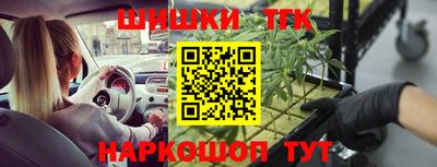 прущие крисы Тара